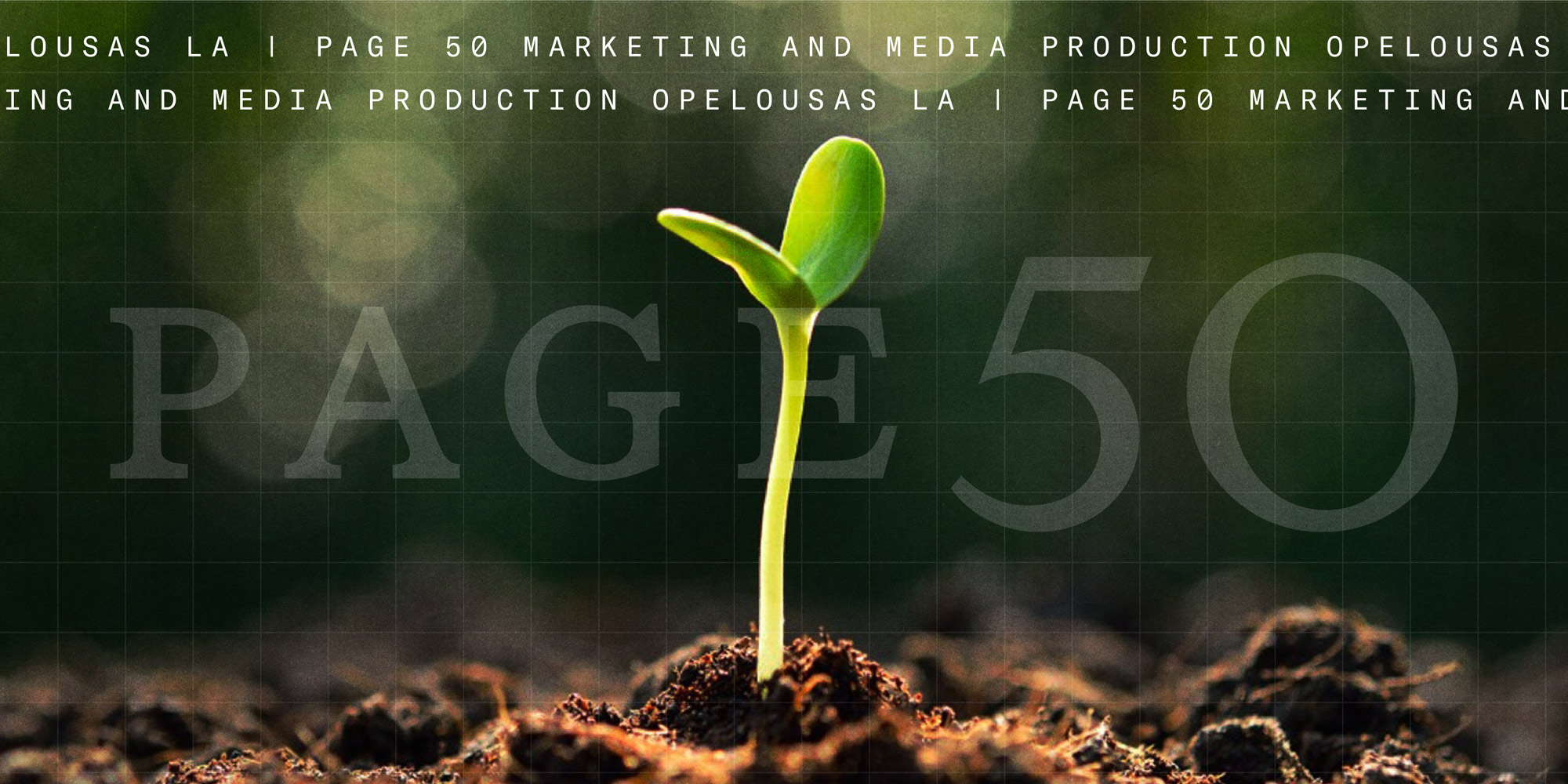 Your-Site-Is-Too-New.jpg